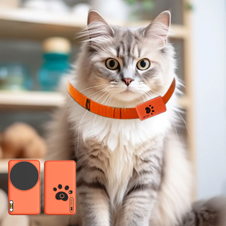 AI Wearable Pet Health Monitor – Breath Rate Monitor Bewertung und Preis